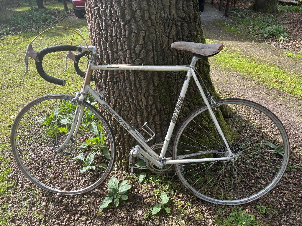 Racefiets Koga Miyata kleur wit, Ophalen, 28 inch, Gebruikt, 10 tot 15 versnellingen