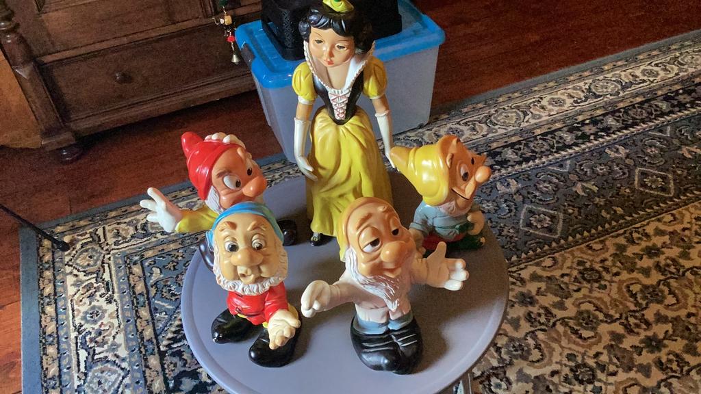 Sneeuwwitje en 4 dwergen, Tickets en Kaartjes, Eén persoon, Overige typen