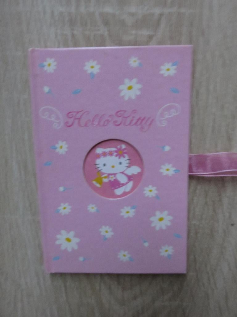 DAGBOEK HELLO KITTY, Ophalen of Verzenden, Nieuw, Fictie algemeen