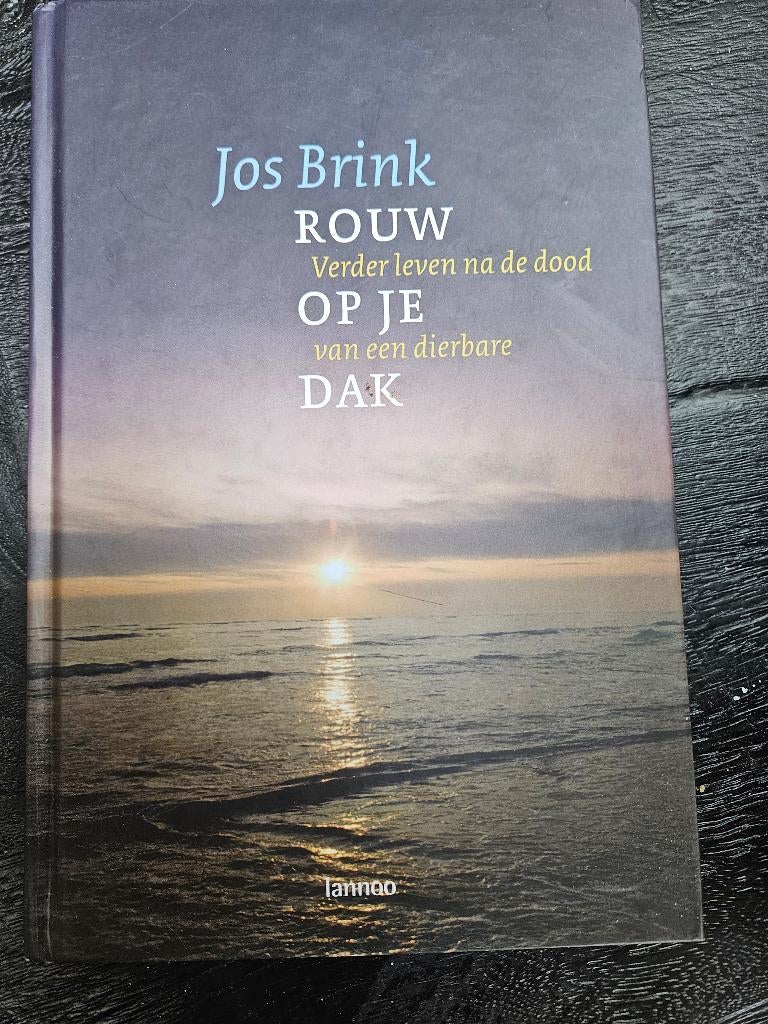 Jos Brink - Rouw op je dak, Ophalen of Verzenden, Zo goed als nieuw, Ontwikkelingspsychologie