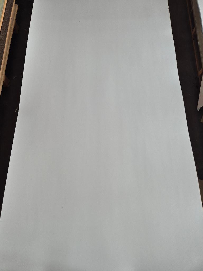 HPL fineer platen wit 280x131,5cm 0,8mm dik ( 563 ), Ophalen, HPL, Gebruikt, Nb