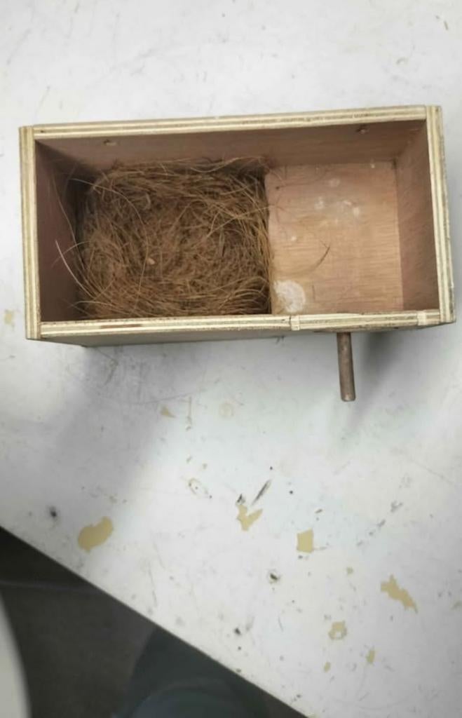 Broedblok goldamadines, Ophalen, Overige typen