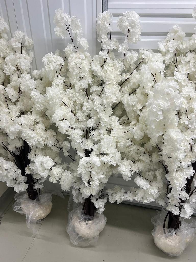 Mooi bloesem boomjes, Ophalen of Verzenden, Zo goed als nieuw