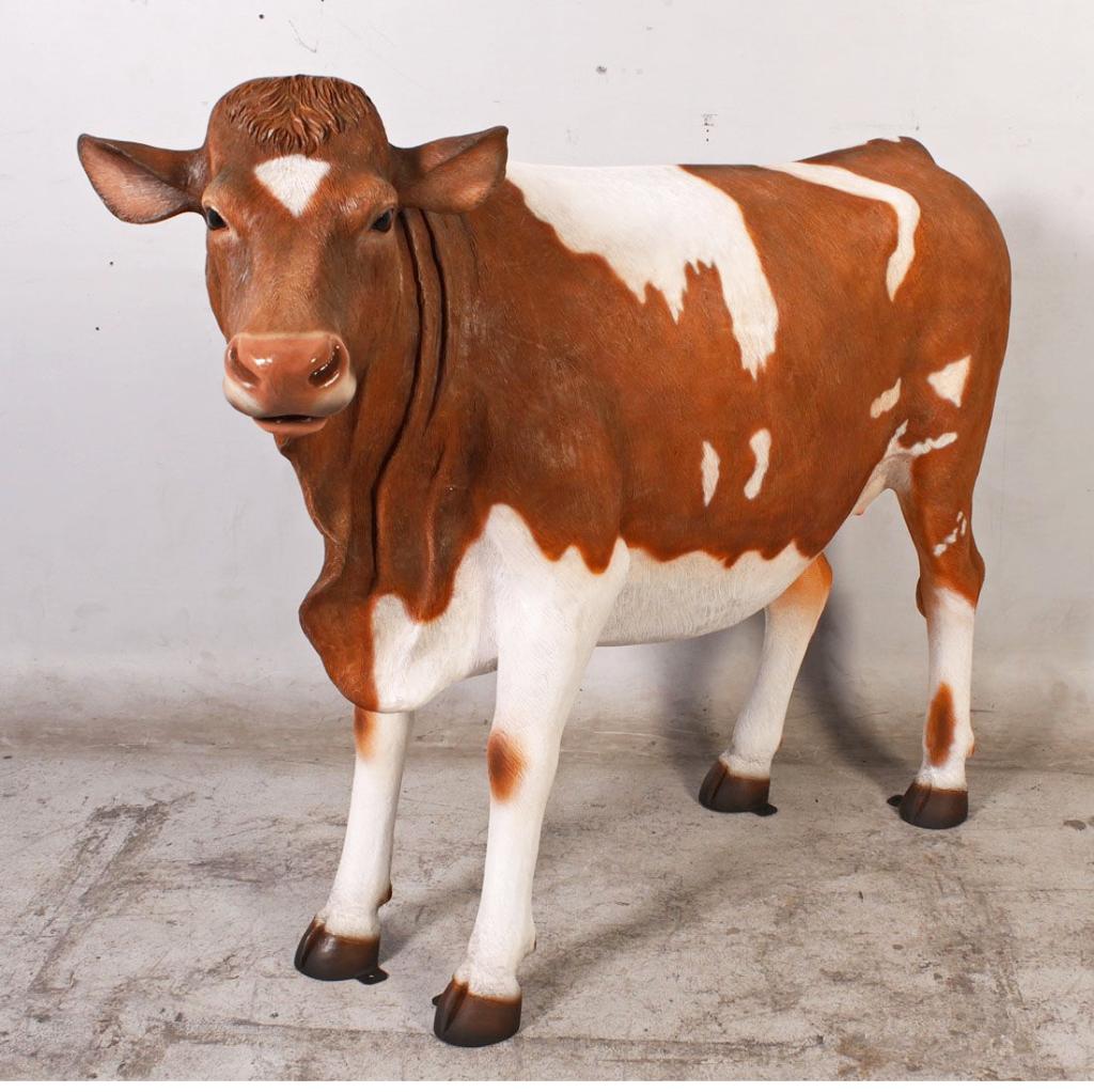 Guernsey Cow – Koe Lengte 142 cm - levensecht, Ophalen, Nieuw, Overige soorten, Overige typen