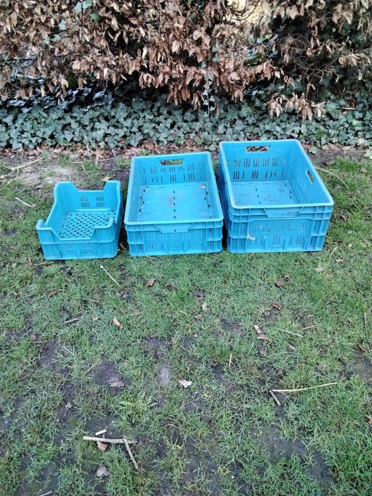 kisten div. maten, Ophalen, Gebruikt