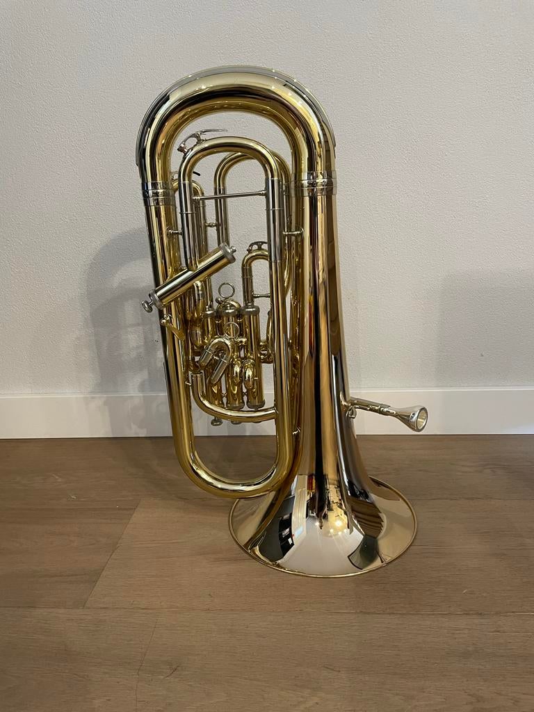Jong gebruikte Wessex Euphonium, Ophalen, Gebruikt, Koperblazer, Met koffer of draagtas