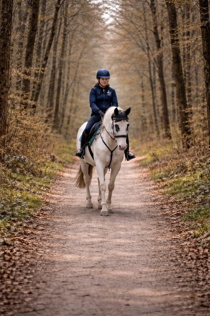 Bonte merrie als rijpaard of fokmerrie, Dieren en Toebehoren, Merrie, 160 tot 165 cm, 11 jaar of ouder, Recreatiepaard