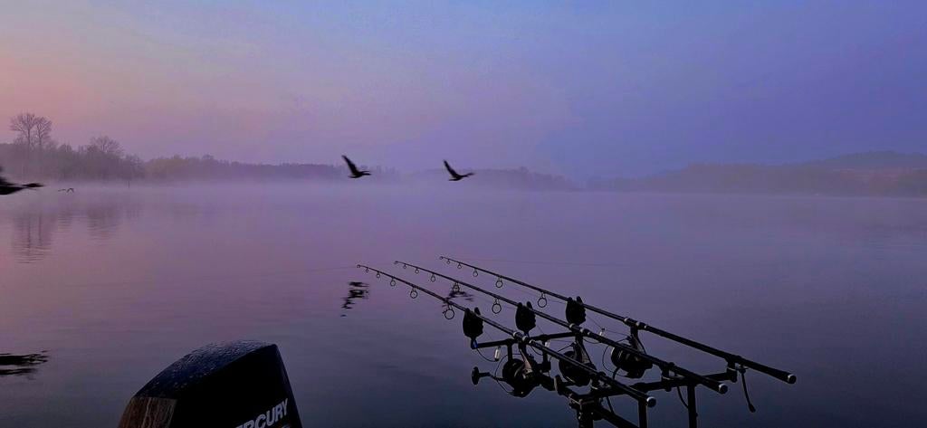 Mooie Aryn, Ophalen of Verzenden, Overige typen