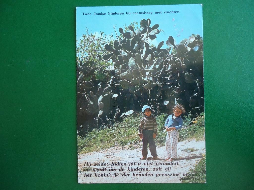 (732) Kaart: ISRAËL?, Verzamelen, Verzenden, 1980 tot heden, Gelopen, Buiten Europa