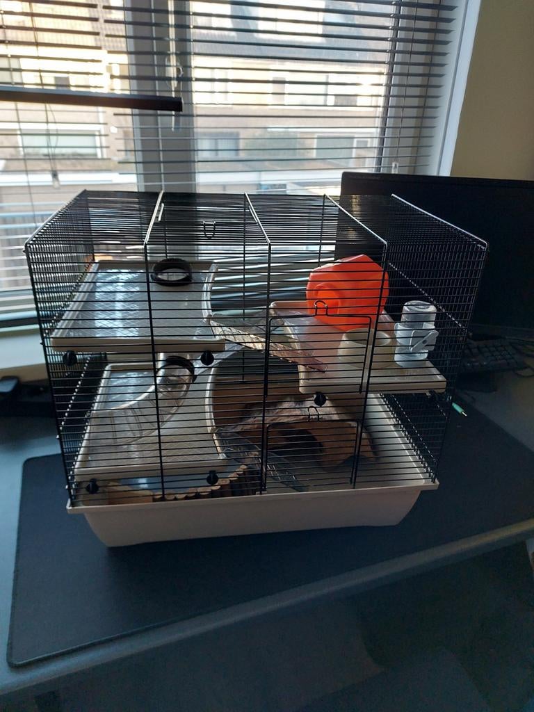 Hamsterhok inclusief toebehoren, Gebruikt, Minder dan 75 cm, Hok, Ophalen