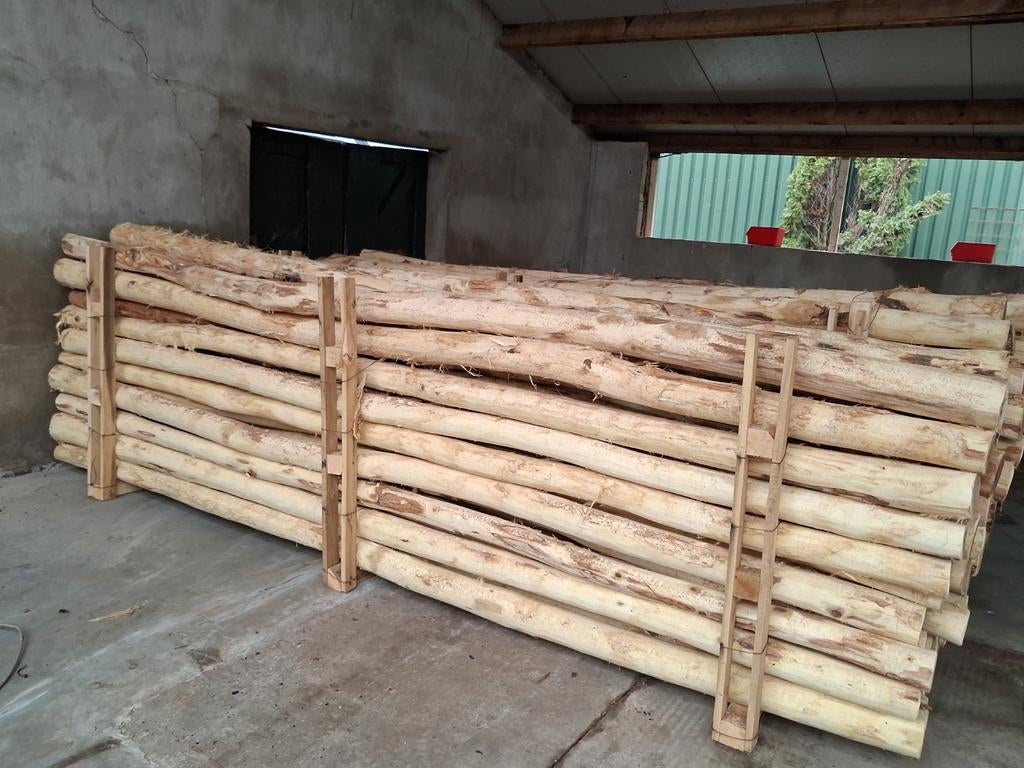 Robiniahouten palen, robinia paal 400cm lang 10-12cm dik, Ophalen, Nieuw, 250 cm of meer, Palen