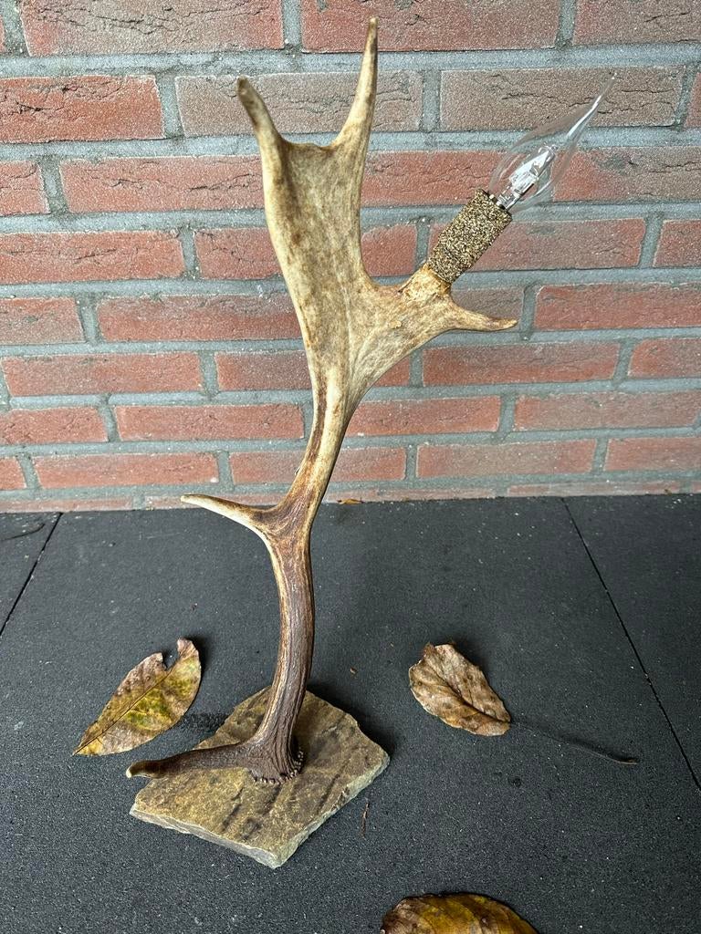 Geweilamp.schemerlamp.geweien.edelhert.damhert.tafellamp., Ophalen of Verzenden, Nieuw, 50 tot 75 cm