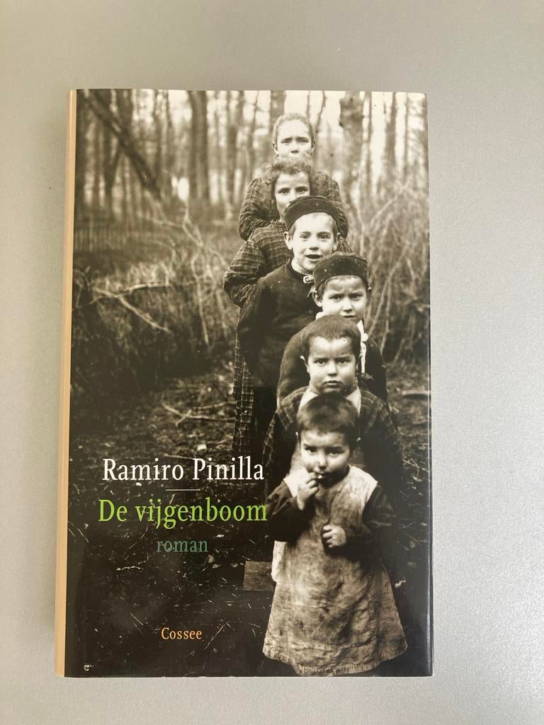 De vijgenboom - Ramiro Pinilla, Boeken, Ophalen of Verzenden, Gelezen, Europa overig