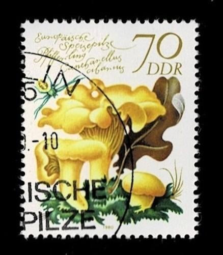 postzegel 2215 DDR paddenstoel Gele Dooierzwam, Ophalen of Verzenden, DDR, Gestempeld