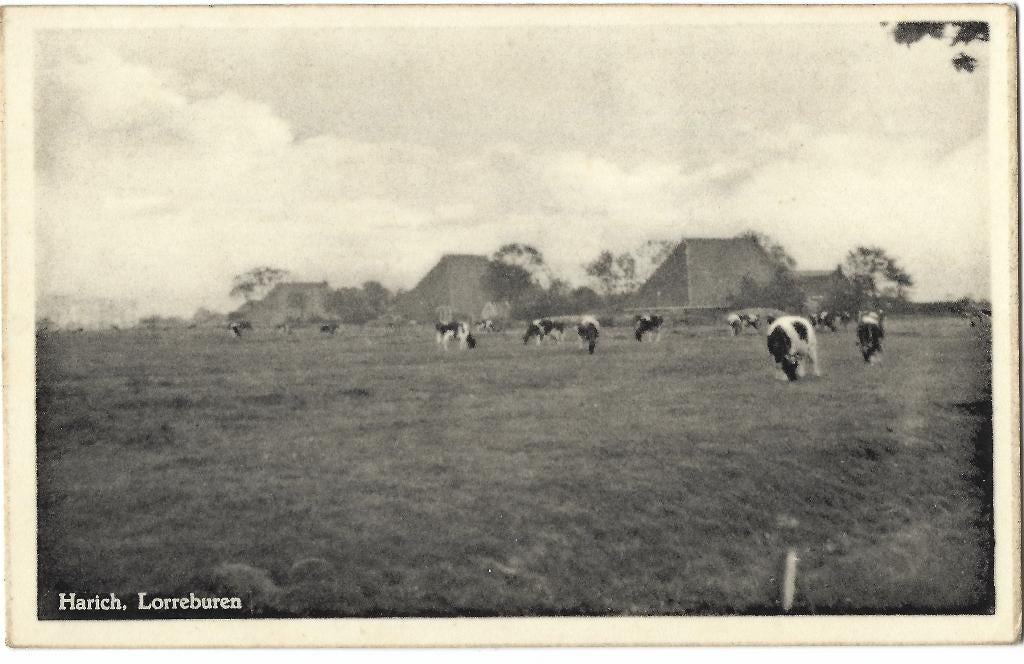 Harich, (bij Balk) Lorreburen. Opruimingskaart, Verzenden, 1940 tot 1960, Ongelopen, Friesland