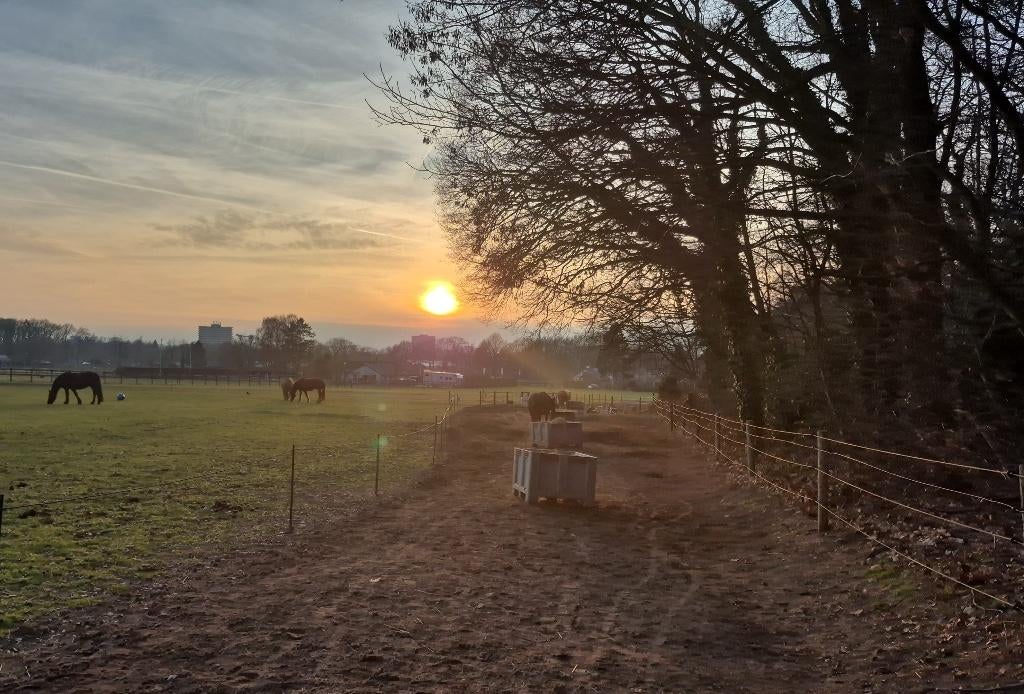 Vrijwilligerswerk / hulp voor klusjes op de wei /stalhulp, 33 - 40 uur, Overige niveaus, Overige vormen