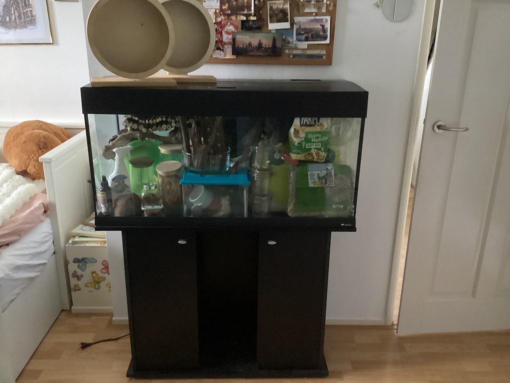 Ferplast Dubai 100 terrarium/aquarium met vele accessoires, Dieren en Toebehoren, Gebruikt, Overige typen, Muis, 75 tot 110 cm