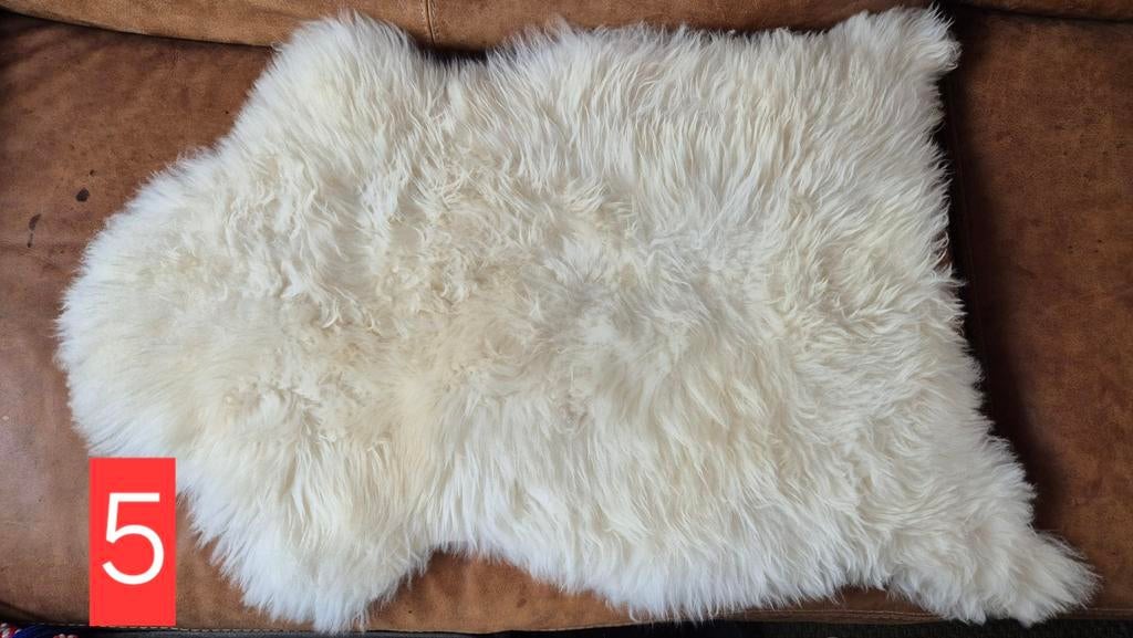 Schapenvacht lang 5, Nieuw, Ophalen of Verzenden, ., .