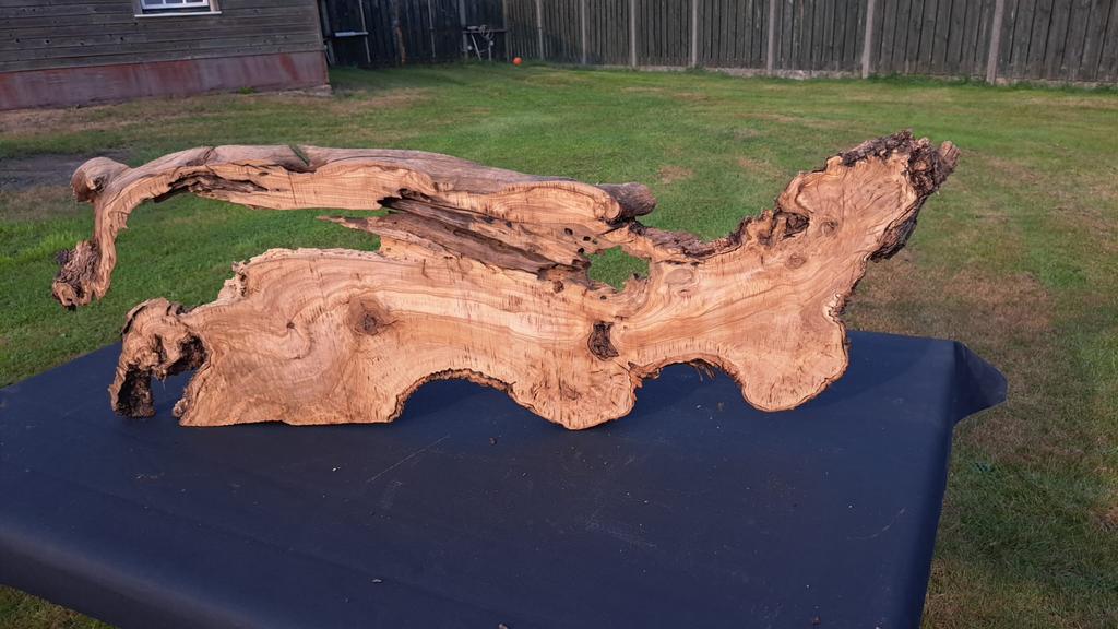 Uniek Olijfhout schaaldeel / olijf hout / epoxy, Ophalen