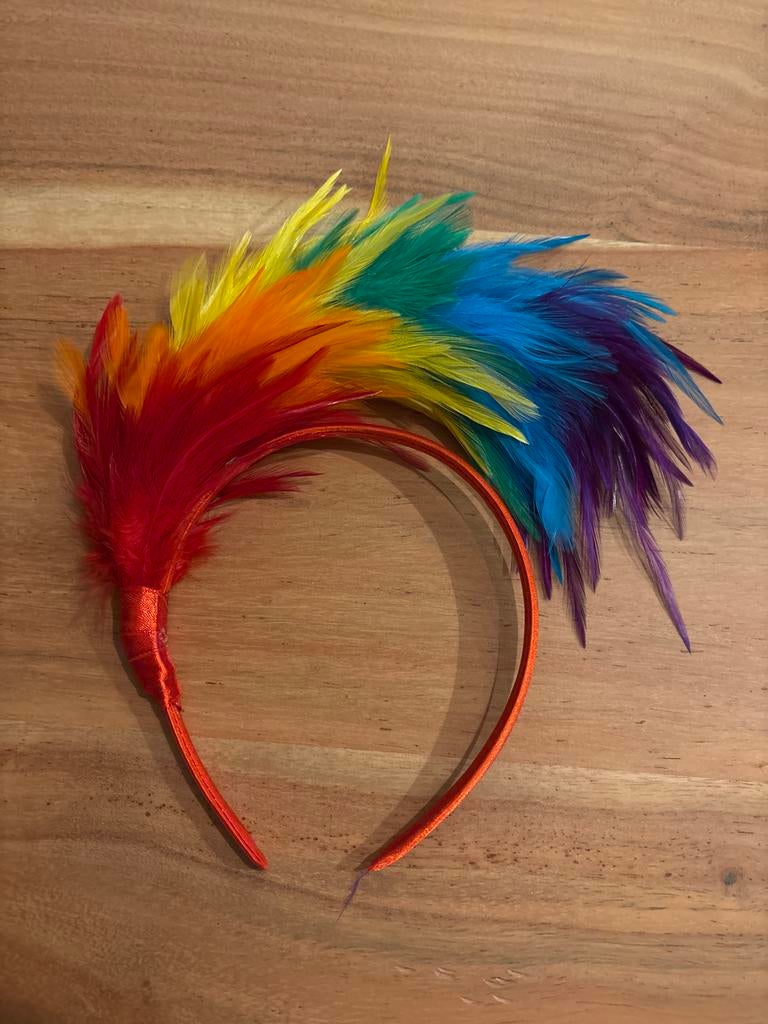 Haarband met Regenboog Veren 16 X, Ophalen of Verzenden, Zo goed als nieuw, One size fits all, Hoed