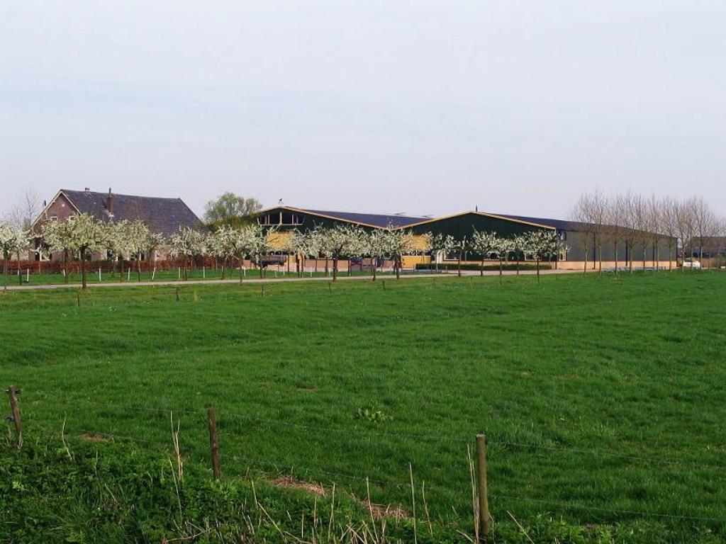 Rekord Bruinkool briketten 25kg pakken, 6 m³ of meer, Ophalen, Overige houtsoorten, Blokken