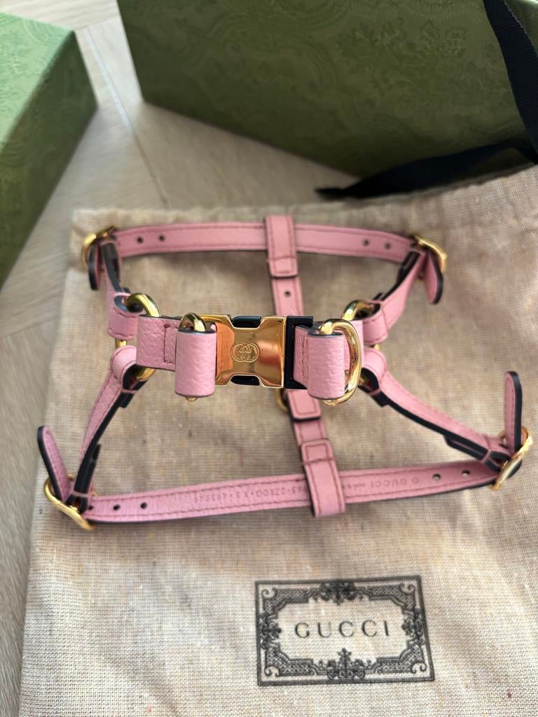 Gucci orgineel honden tuigje maat xs, Ophalen of Verzenden, Nieuw