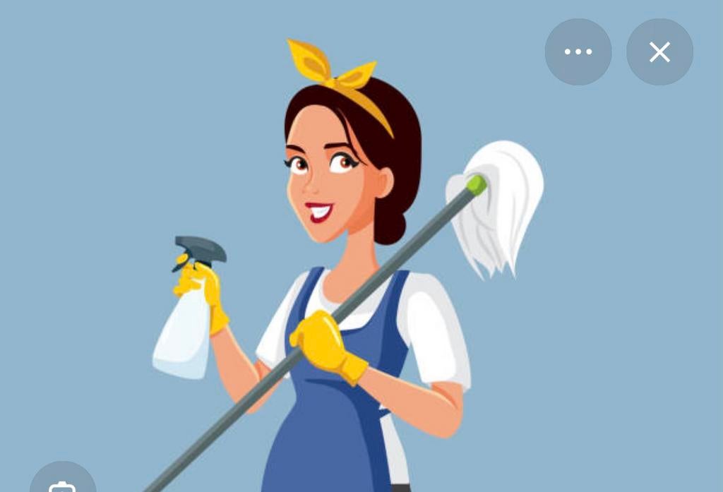 Particulieren schoonmaakster, 33 - 40 uur, Vanaf 10 jaar, Overige vormen