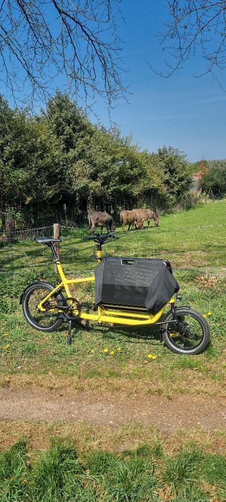 Muli Muskel Belt Fresh Lemon op voorraad!, Overige merken, Verzenden, Nieuw, Info@cafecadans.nl