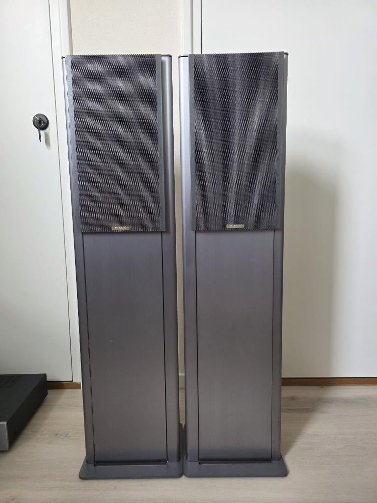 Piega Twen - anniversary edition, Audio, Tv en Foto, Luidsprekers, Zo goed als nieuw, Front, Rear of Stereo speakers, 120 watt of meer