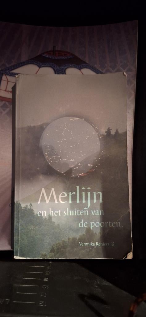 Veronika Reniers - Merlijn en het sluiten van de poorten, Boeken, Ophalen of Verzenden, Gelezen, Veronika Reniers