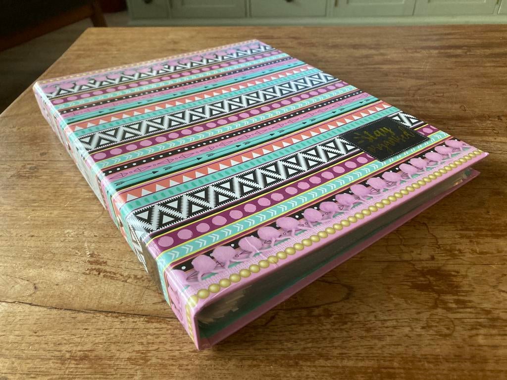 A4 multomap 2 rings met 50 insteekhoezen, Diversen, Schoolbenodigdheden, Ophalen of Verzenden, Zo goed als nieuw