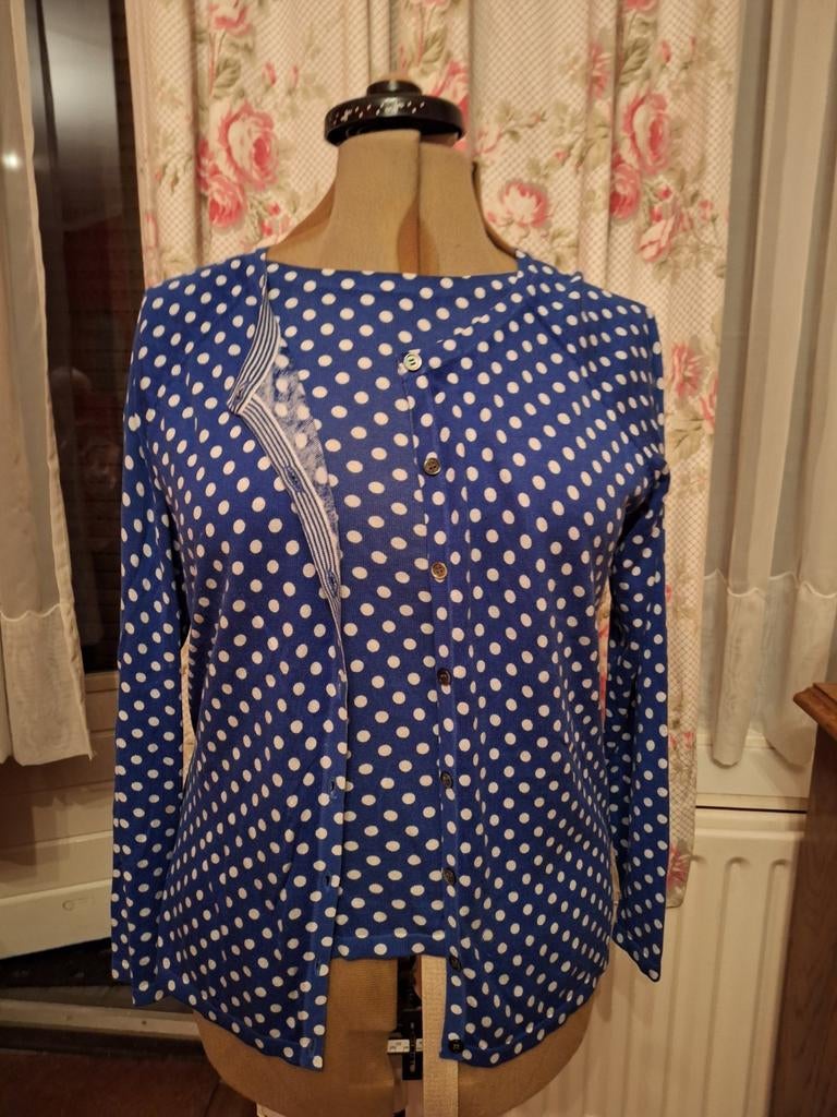 Twinset Max Mara, Maat 38/40 (M), Blauw, Max Mara, Ophalen of Verzenden