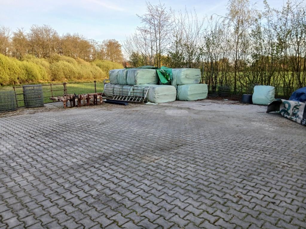 15 vierkante balen grof kuilvoer, Dieren en Toebehoren, Ophalen of Verzenden, Vee