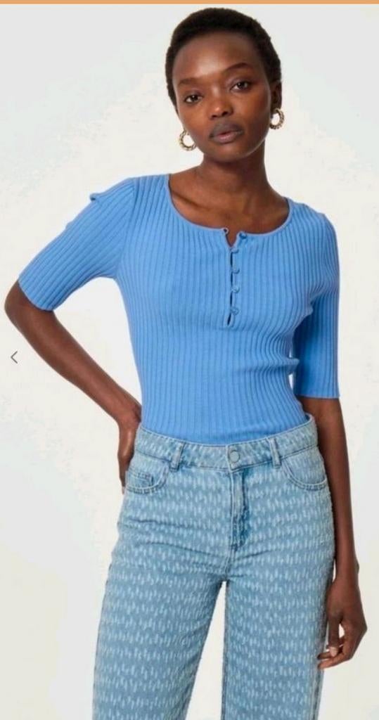Fabienne Chapot Alida pullover/ trui maat M *nieuw *, Maat 38/40 (M), Blauw, Nieuw, Ophalen of Verzenden