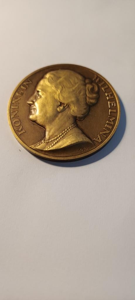 Koningin Wilhelmina inhuldigingsmedaille 1898, Postzegels en Munten, Munten | Nederland, Ophalen of Verzenden, Koningin Wilhelmina