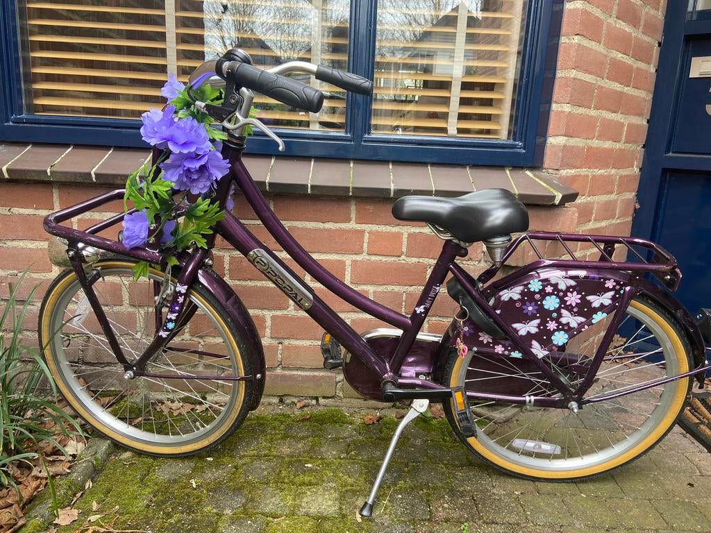 Meisjesfiets 22 inch