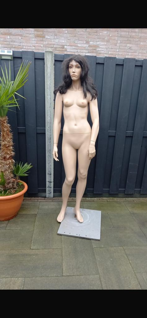 Etalagepop paspop dames pop, Ophalen, Zo goed als nieuw, Abraham of Sarah