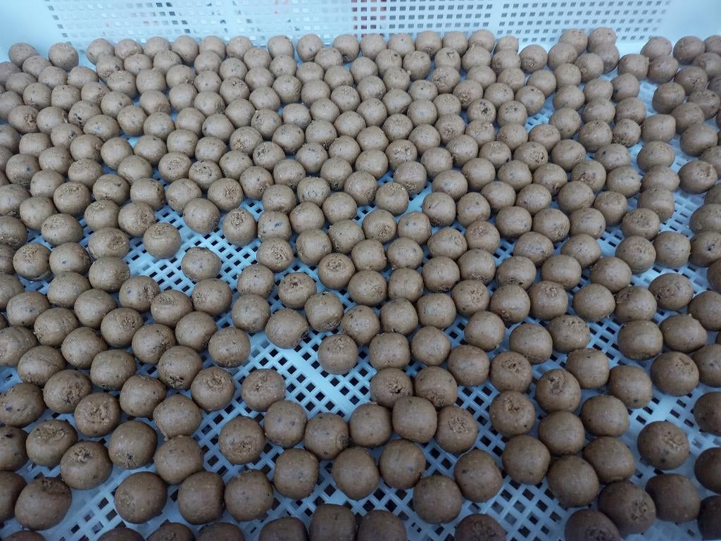 Frutti fish premium boilies, Watersport en Boten, Ophalen of Verzenden, Nieuw, Overige typen