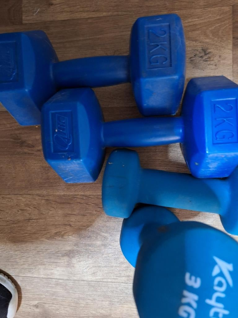 2 sets gewchten van 2 en 3 kilo, Ophalen