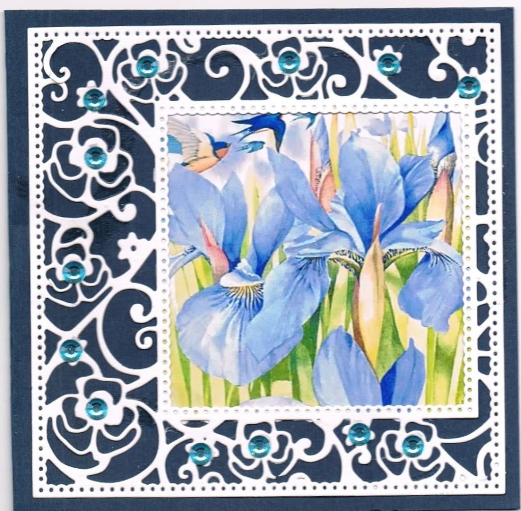 bloemenkaart met strass steentjes, Ophalen of Verzenden, Nieuw, Natuur