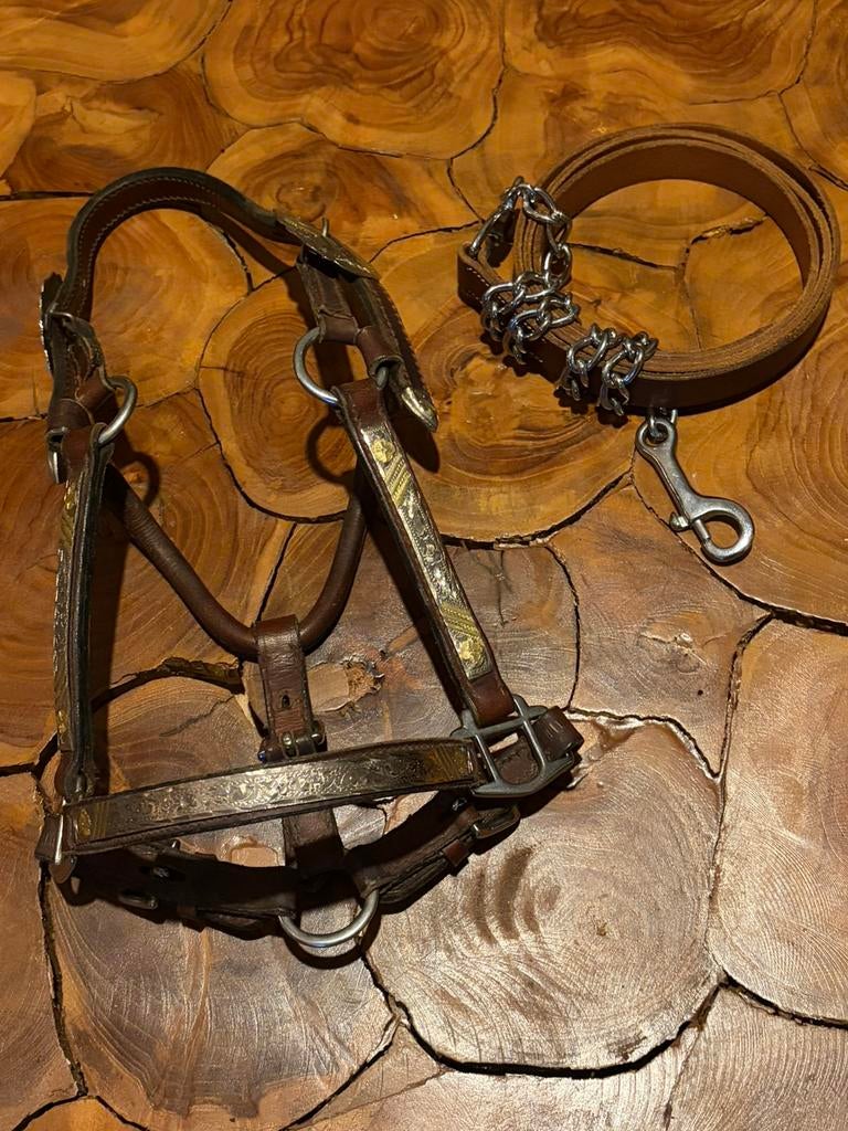 Super chique veulen showhalster, Dieren en Toebehoren, Ophalen of Verzenden, Zo goed als nieuw, Western