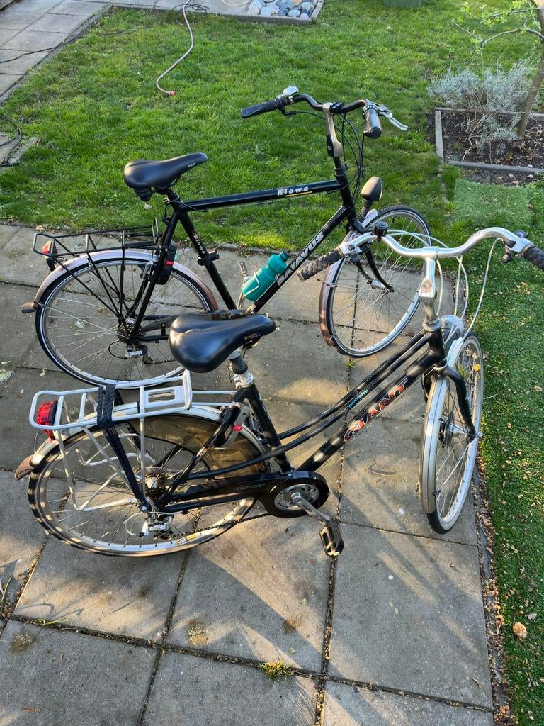 Heren en Damesfiets Batavus/Giant, Fietsen en Brommers, Fietsen | Bakfietsen, Ophalen, Gebruikt, 1 kind, Overige merken