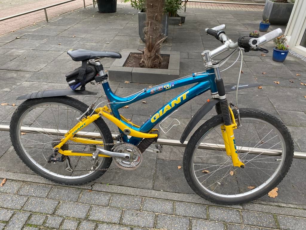 Te koop mountainbikers giant, Ophalen, Gebruikt, Aluminium, 24 inch of meer