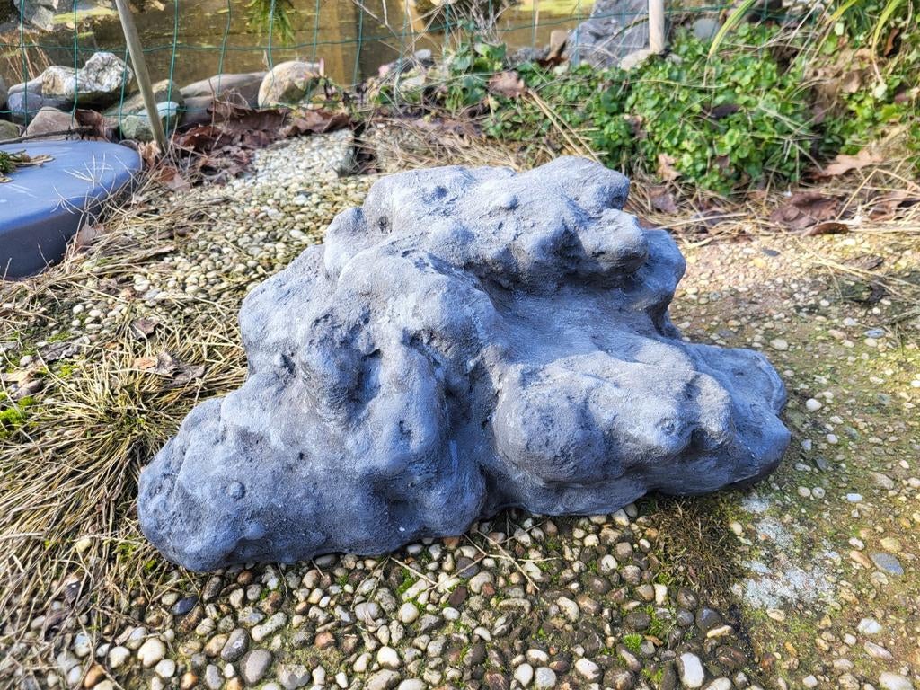 Terrarium rots 1, Ophalen of Verzenden