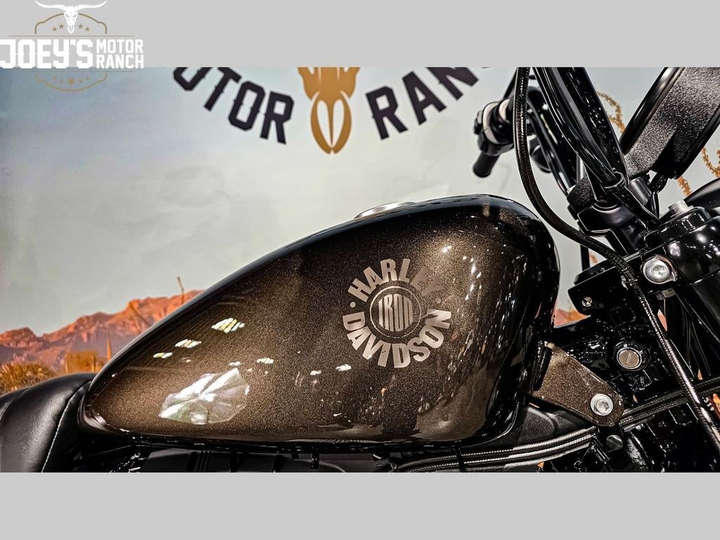 HARLEY-DAVIDSON SPORTSTER IRON XL 883 N (bj 2020), 2 cilinders, HARLEY-DAVIDSON, Bedrijf, Onbekend