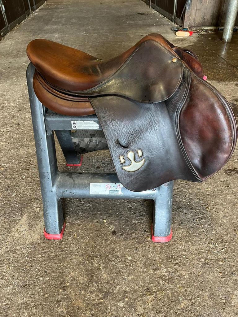 Bruno delgrange, Dieren en Toebehoren, Ophalen of Verzenden, Zo goed als nieuw, Springen