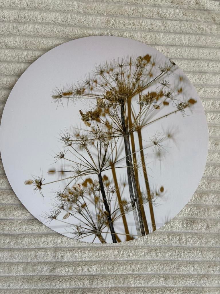 Muurcirkel, Ophalen of Verzenden, Nieuw