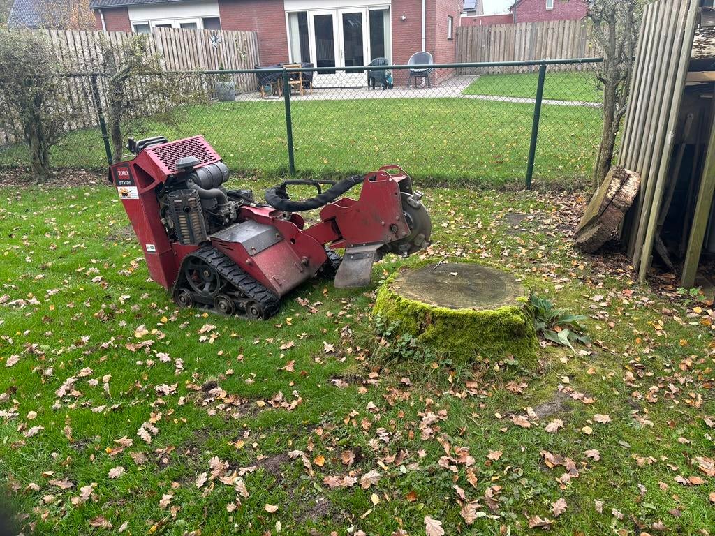 Boomstronk verwijderen, Bramen en Bamboe verwijderen, Garantie, Tuinonderhoud of Snoeiwerk