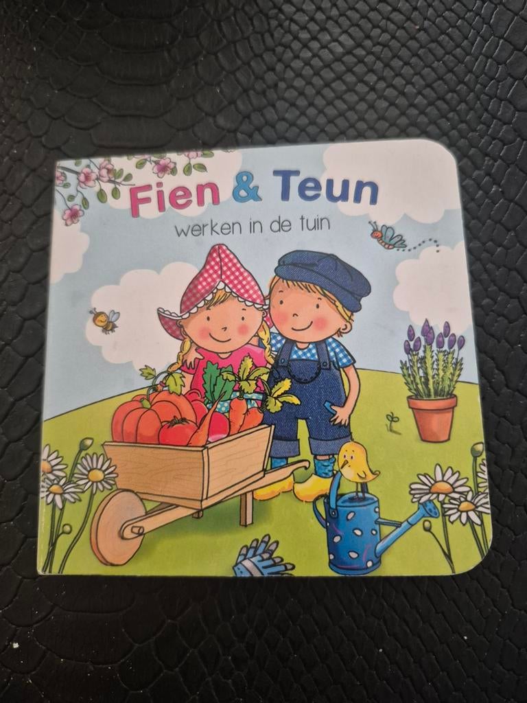 Fien & Teun, Ophalen of Verzenden, Zo goed als nieuw, 3 tot 4 jaar