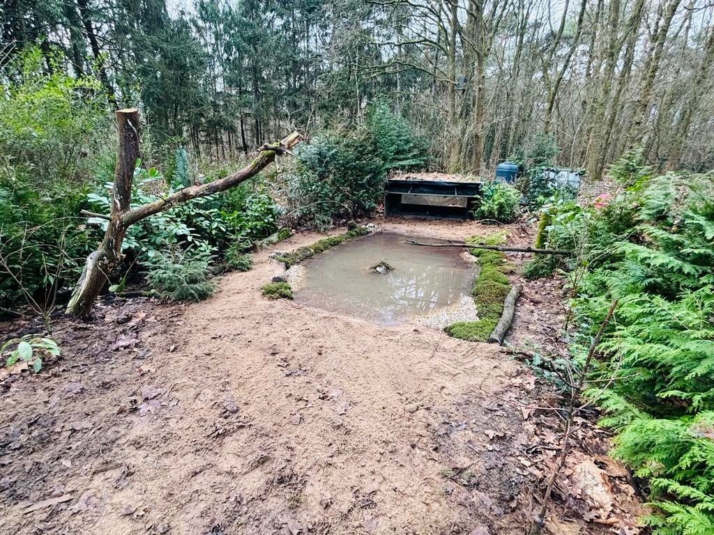 Grond te huur gezocht voor natuurfotografiehut in Hoogeloon, Dieren en Toebehoren, Stalling en Weidegang